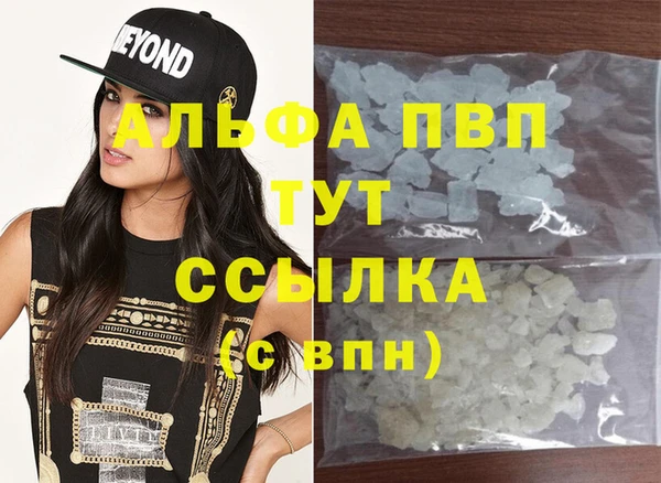 шишки Кодинск