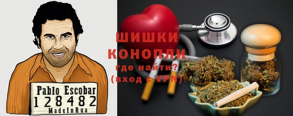 эйфоретик Гусев