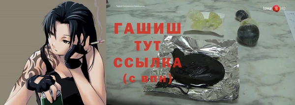 spice Ельня