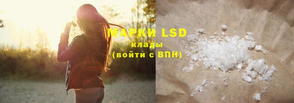 spice Ельня