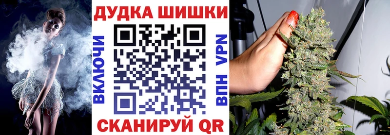 Канабис гибрид  Салаир 